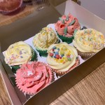 6 Cupcakes I decorated