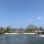 Mapledurham Weir